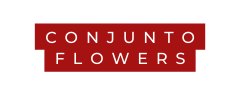 CONJUNTO flowers
