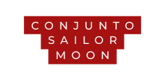 CONJUNTO SAILOR MOON